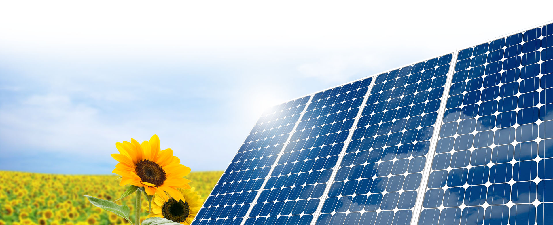 (Solar panels)